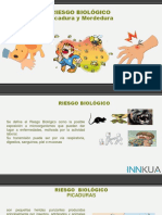 Capacitacion Riesgo Biologico Mordedura y Picadura PDF