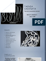 Taenia Saginata - Maria S. Camejo PDF