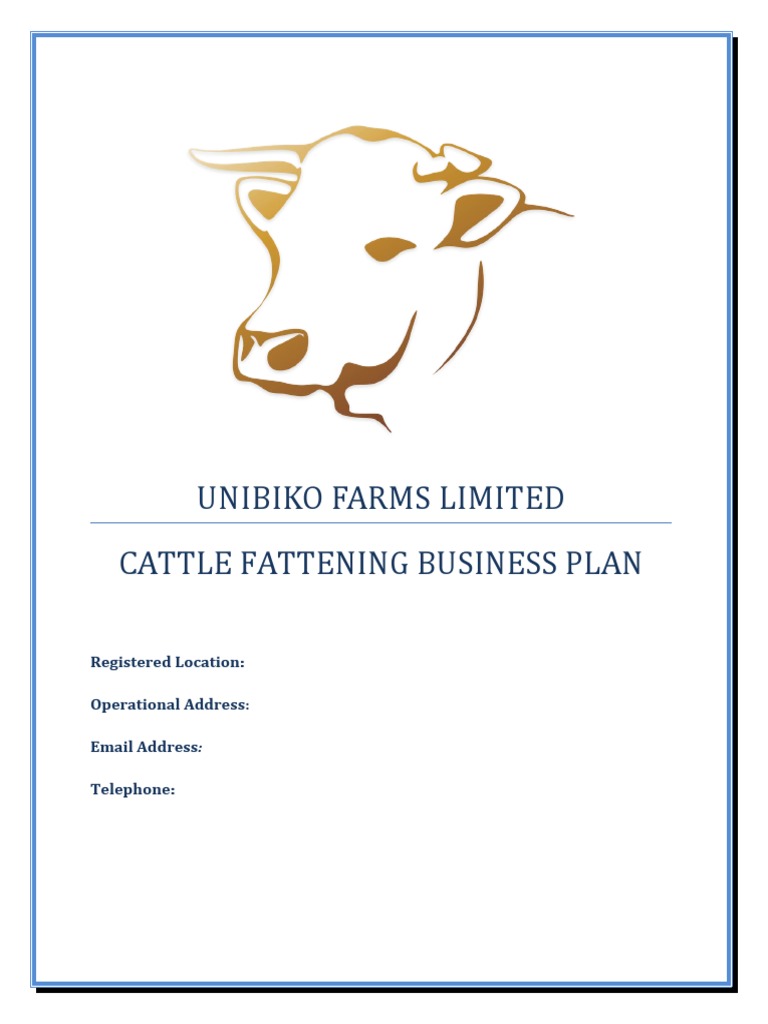 business plan on cattle fattening