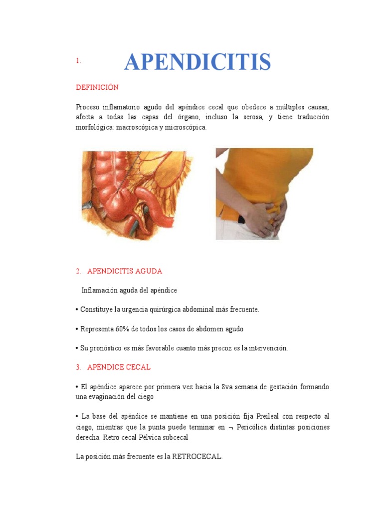 Anatomía y Signos de Apendicitis | PDF | Especialidades Medicas | Medicina  CLINICA, image size:768x1024