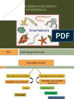 Sistem Reproduksi Hewan Invertebrata