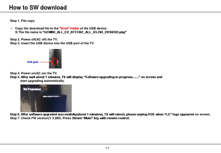 LG TV Software Upgrade Guide | PDF