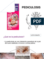 La escabiosis: Síntomas, causas, tratamiento y prevención de la sarna humana, PDF, Blanqueador