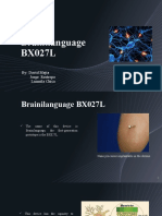 Brainilanguage BX027L: By: David Mejia Jorge Restrepo Luzmila Chica