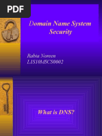 Domain Name System Security: Rabia Noreen L1S10MSCS0002