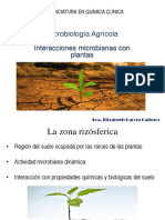 Interacciones Microbianas PDF