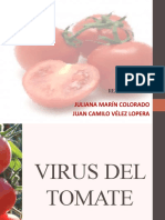 Virus del tomate TYLV y TSWV