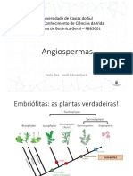 Aula 6 - Angiospermas.pdf