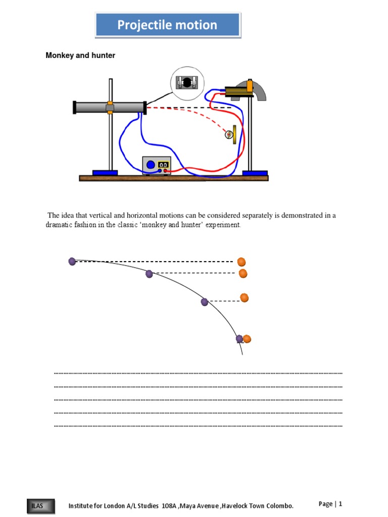 Monkey and Hunter Experiment Overview | PDF | Projectiles | Physics