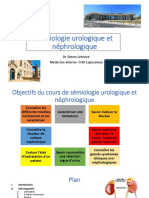 Sémiologie urologique et néphrologique sans questions.pdf