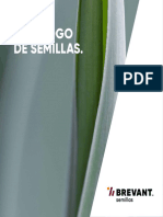 Catálogo Brevant PDF