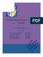 Perfil de Proyectos Peniel
