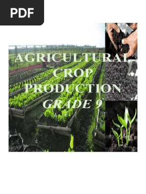 AGRICULTURAL CROP PRODUCTION GRADE 9.docx