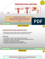 Sistem Reproduksi Pada Manusia