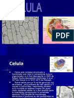 celula total.ppt