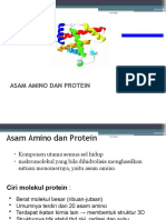 Pertemuan 5 Dan 6 (Asam Amino Dan Protein)