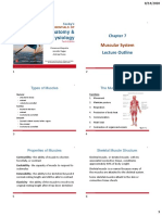 Chapter 7 - Muscular System PDF