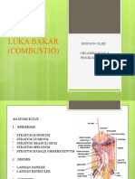 PPT Combustio