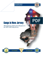 Gangs in New Jersey: Municipal Law Enforcement Response To The 2010 NJSP Gang Survey