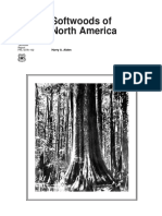 North American Softwoods PDF