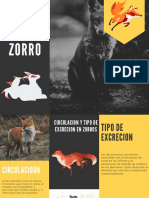 Zorro PDF