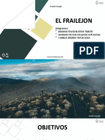 El Frailejon