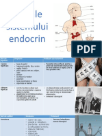Sistemul Endocrin Boli