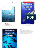 Raz lc43 Differentkindsofsharks CLR PDF
