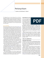 10 - The Perionychium PDF
