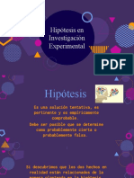 HIPÓTESIS