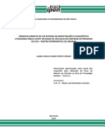 2014JuniorDesenvolvimento.pdf