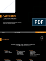 CARSURIN Company Profile (2020)