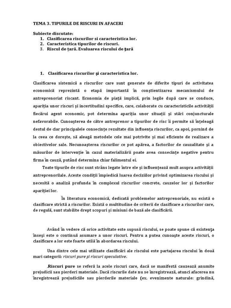Tipuri de Riscuri | PDF