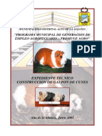 Expediente Tecnico Cuyes PDF