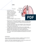 Cirugía de Pleura