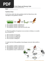 Food Web-Energy Quiz