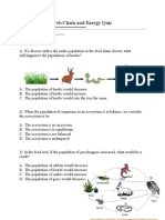 Food Web-Energy Quiz