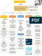 Mapa Conceptual Rayos X PDF