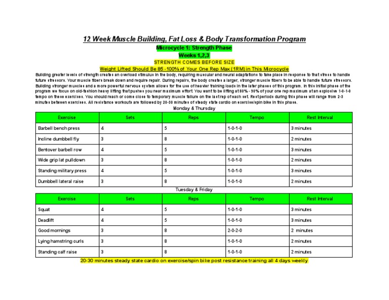 12-Week Muscle Building & Fat Loss Plan | PDF | Physical Exercise ...