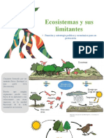 U1 Tema 3 Ecosistemas y Sus Limitantes Ambiente y Sustentabilidad