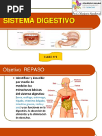 Repaso 5°A Sistema Digestivo 5°