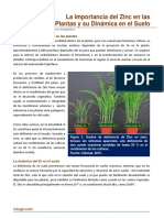 Importancia Del Zinc en Las Plantas PDF