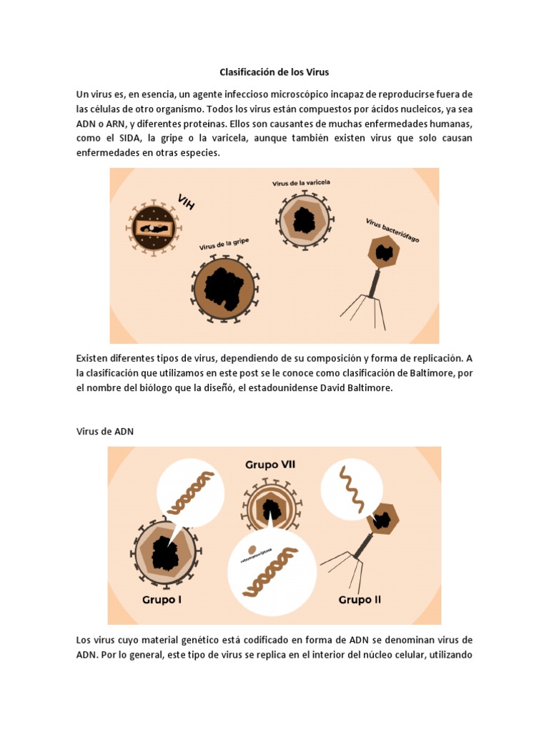 Apunte Clasificación de Los Virus PDF | PDF | La transcriptasa inversa ...