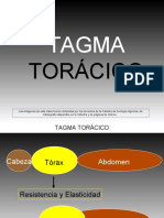 INSECTA 2. Morfología Externa (Tagma Torácico)