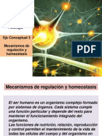 Eje Conceptual 3 Regulación y Equilibrio - 2020 Parte 1 PDF