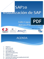 MANUAL Navegación SAP V1
