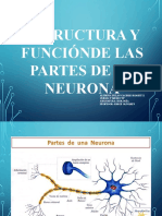 trabajo Biología Neurona.pptx