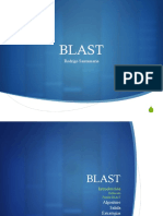 4 Blast PDF