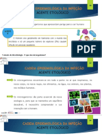 Cadeia Epidemiológica Da Infeção