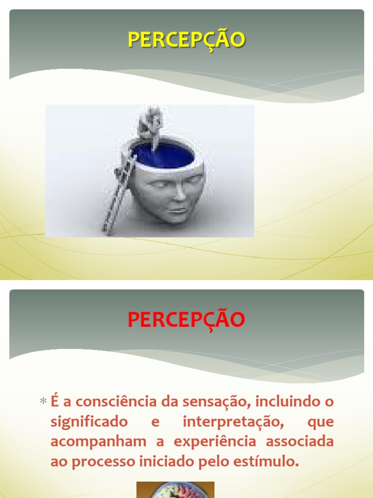 Percepção e Atenção: Interpretação Sensitiva | PDF | Estímulo ...
